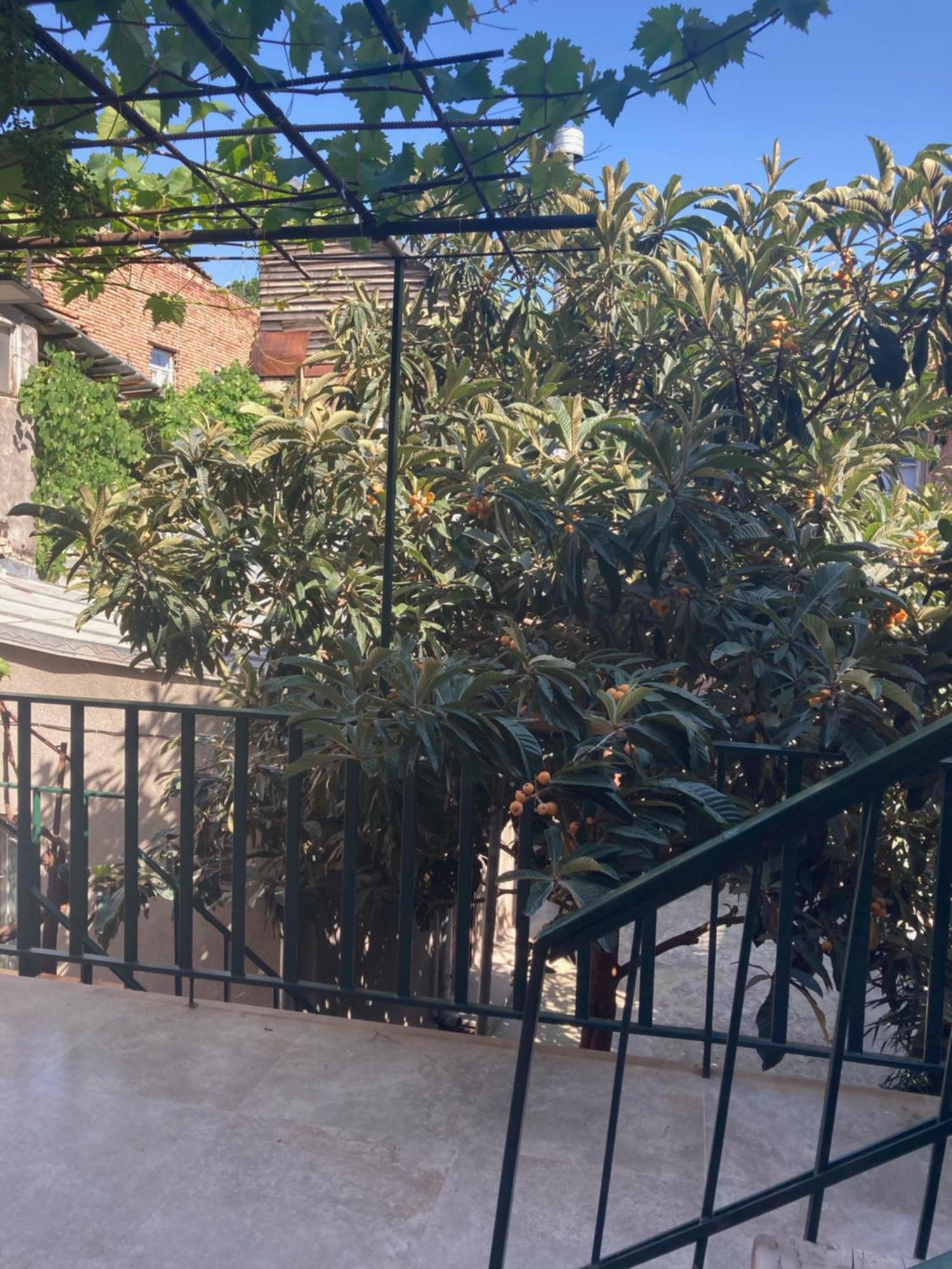 Historic Apartments "1868 Tbilisi" Best Location Exterior photo